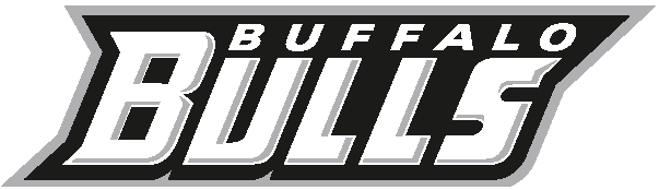 Buffalo Bulls 2007-Pres Wordmark Logo DIY iron on transfer (heat transfer)